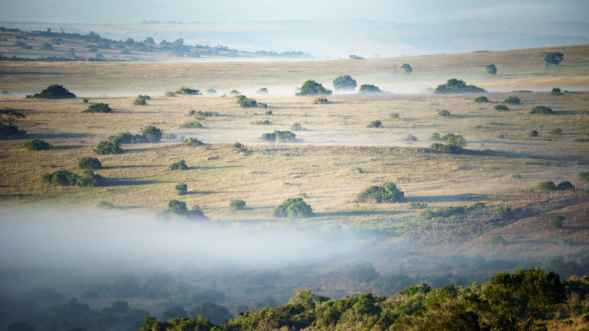 Sony a7 sample photo. South african bush photography