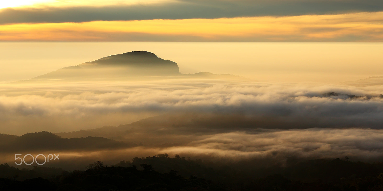Canon EOS 5D + Canon EF 70-200mm F2.8L USM sample photo. Misty and sunrise at doi inthanon photography