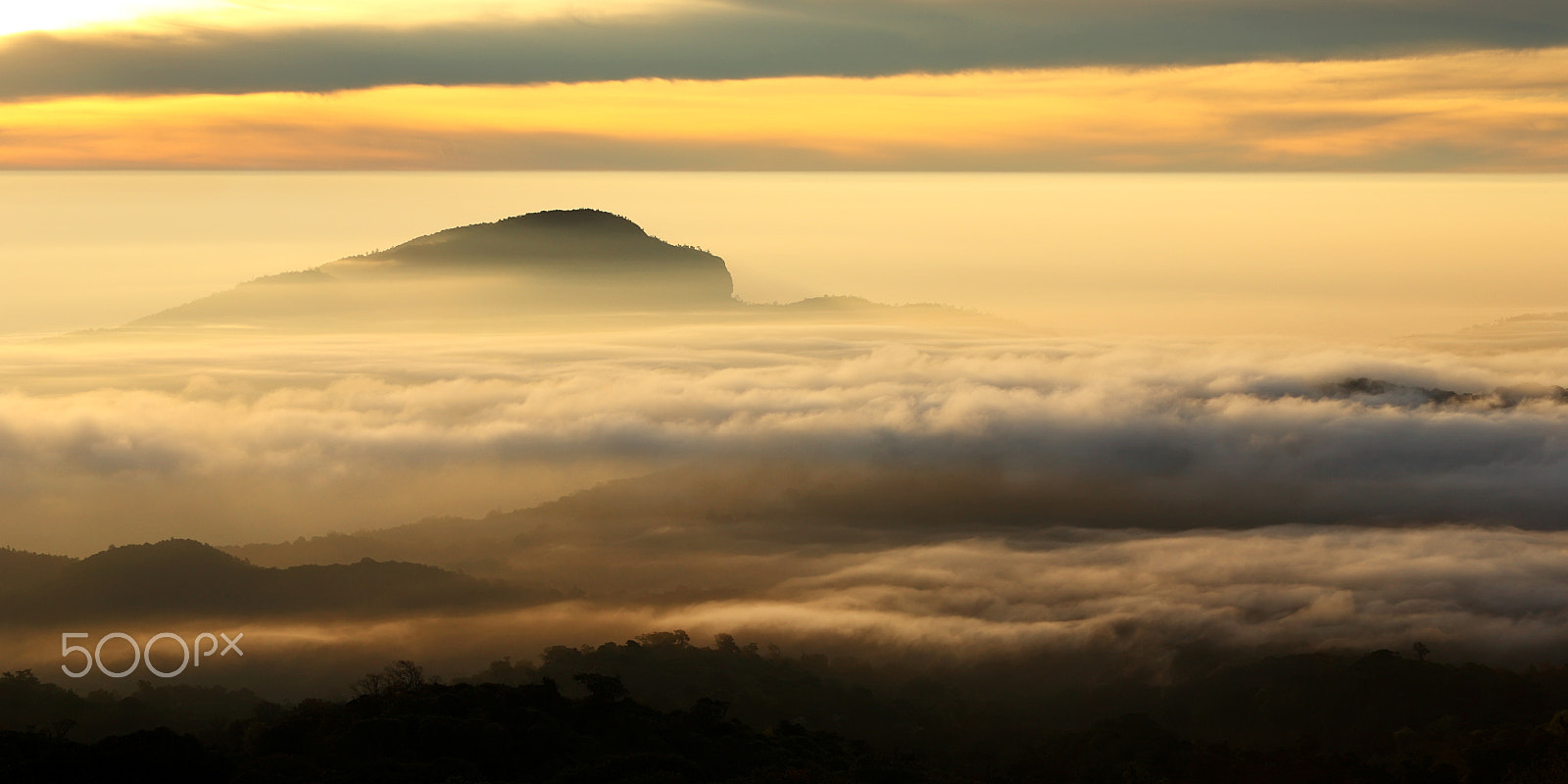 Canon EF 70-200mm F2.8L USM sample photo. Misty and sunrise at doi inthanon photography