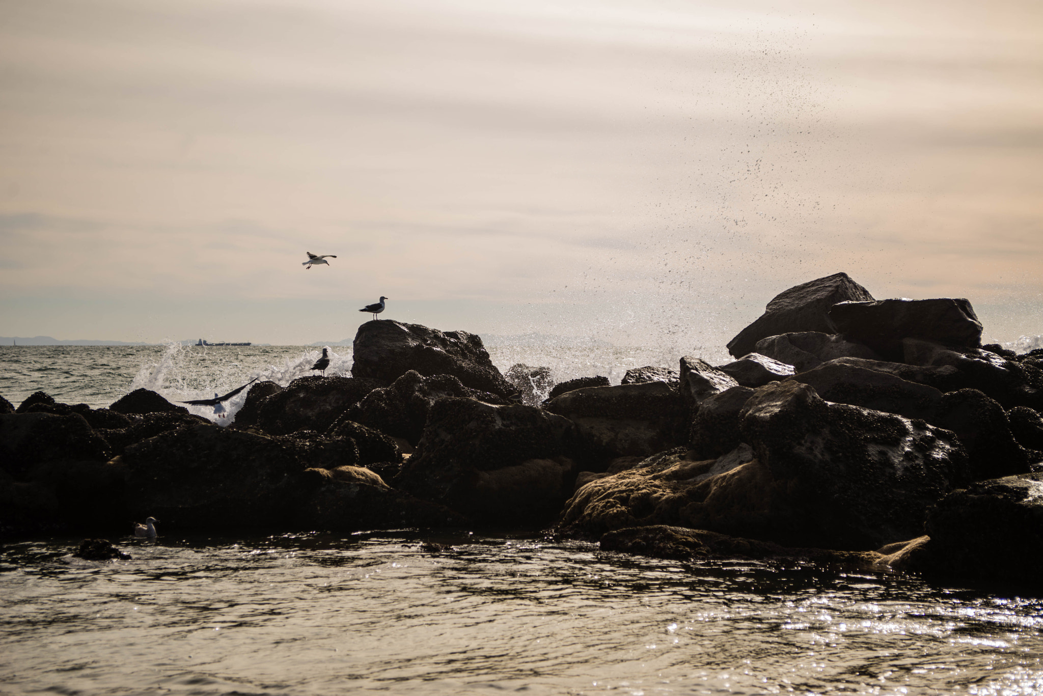 AF Zoom-Nikkor 28-85mm f/3.5-4.5 sample photo. Crashing photography