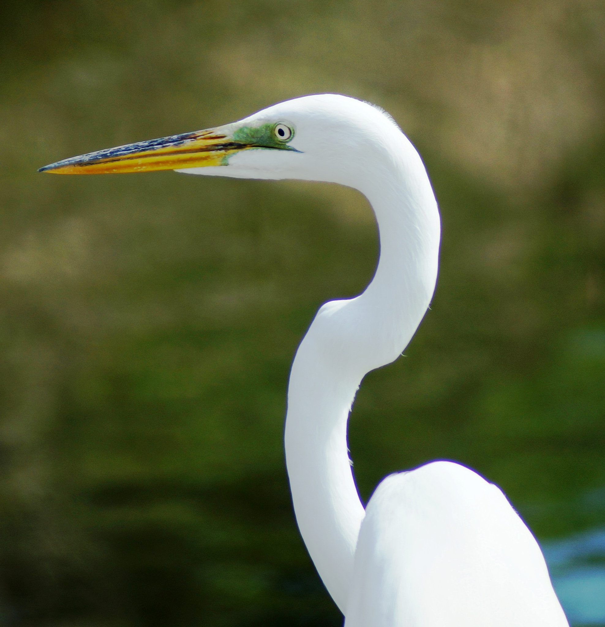 Sony 75-300mm F4.5-5.6 sample photo. Dsc photography