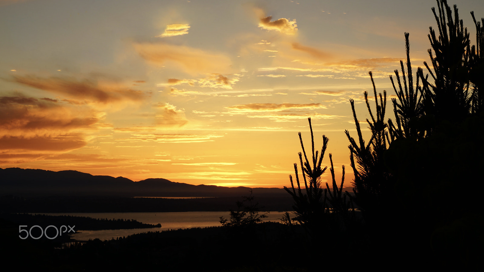 Sony Vario Tessar T* FE 24-70mm F4 ZA OSS sample photo. Another sunset at bellevue! photography