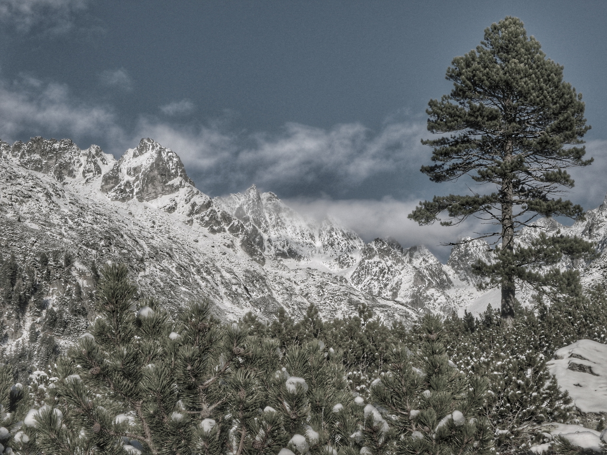 Samsung EX1 sample photo. High tatras - slovakia photography