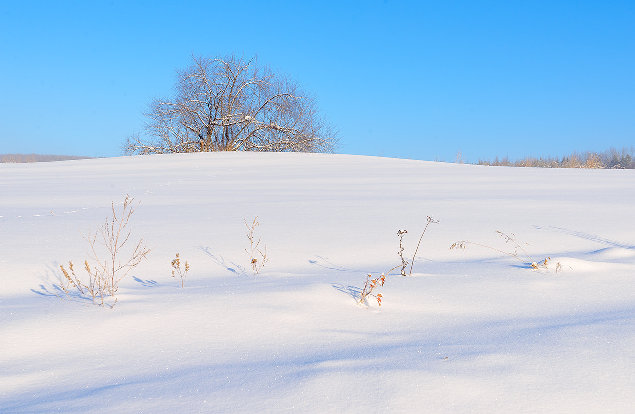 Nikon AF-S Nikkor 17-35mm F2.8D ED-IF sample photo. *** photography