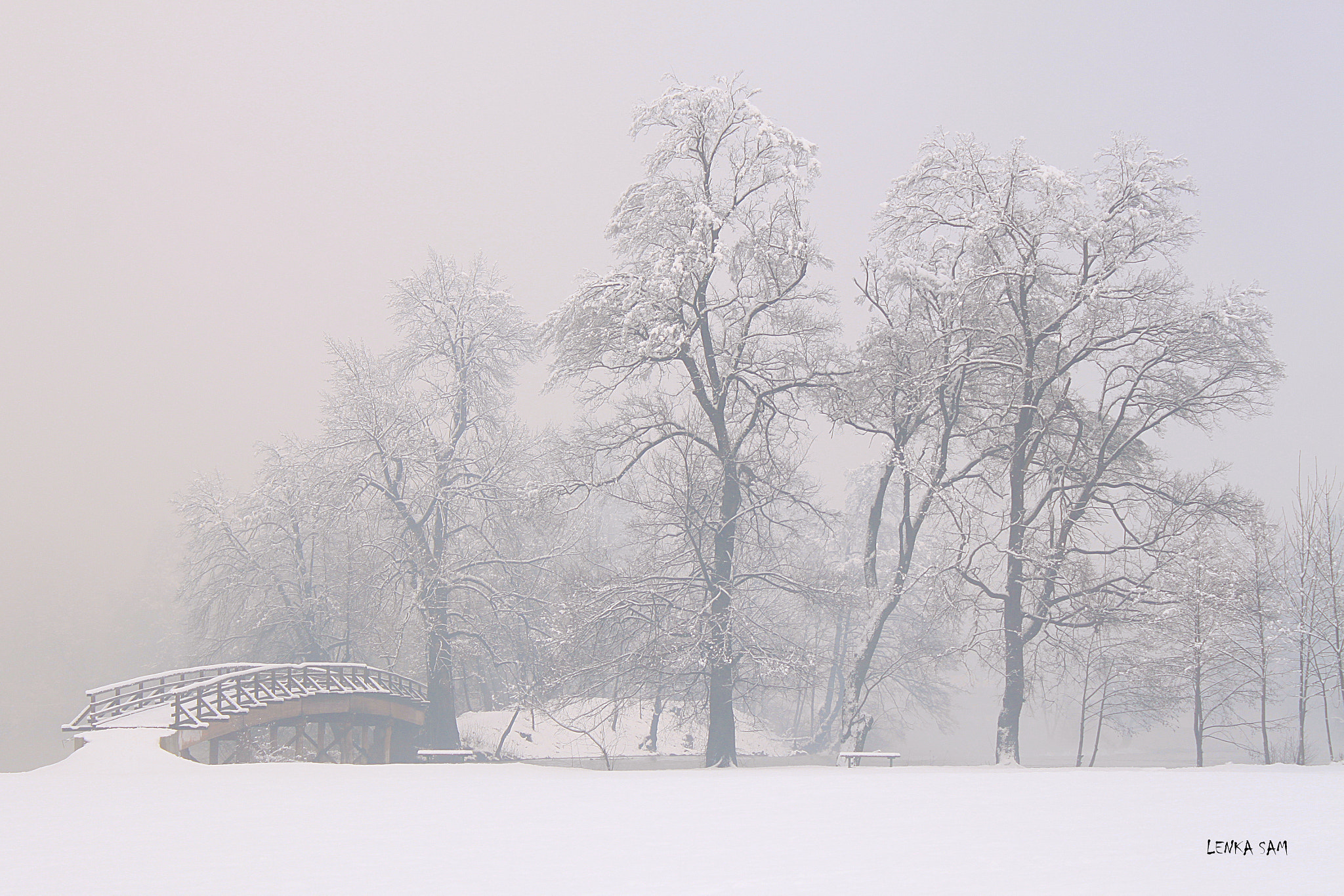 Canon EOS 500D (EOS Rebel T1i / EOS Kiss X3) sample photo. Winter's fairytale photography
