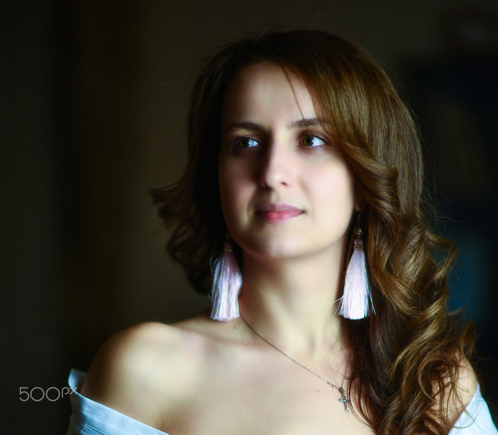 Nikon D800 + Sigma 85mm F1.4 EX DG HSM sample photo. Lis_5047 photography