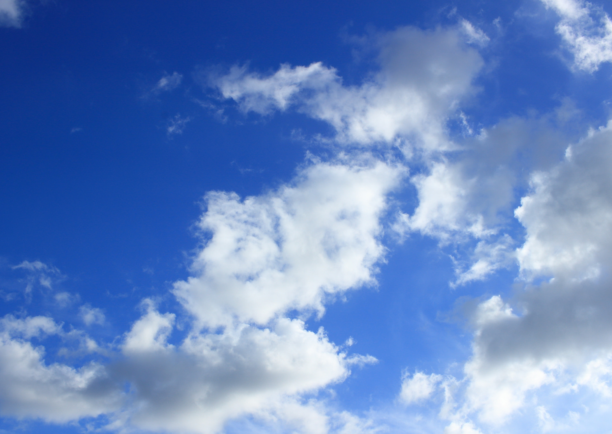 Canon EOS 100D (EOS Rebel SL1 / EOS Kiss X7) sample photo. Summer sky photography