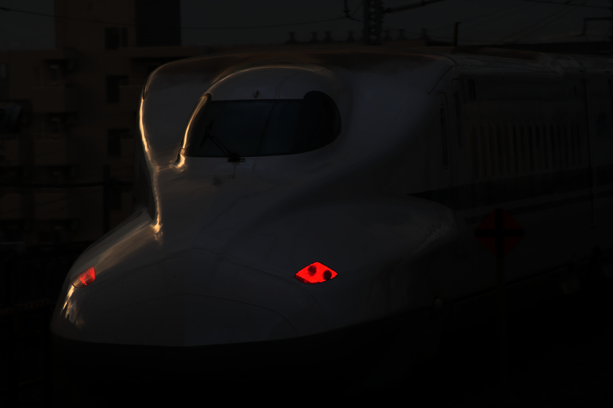 Canon EOS-1D Mark III sample photo. Tail photography