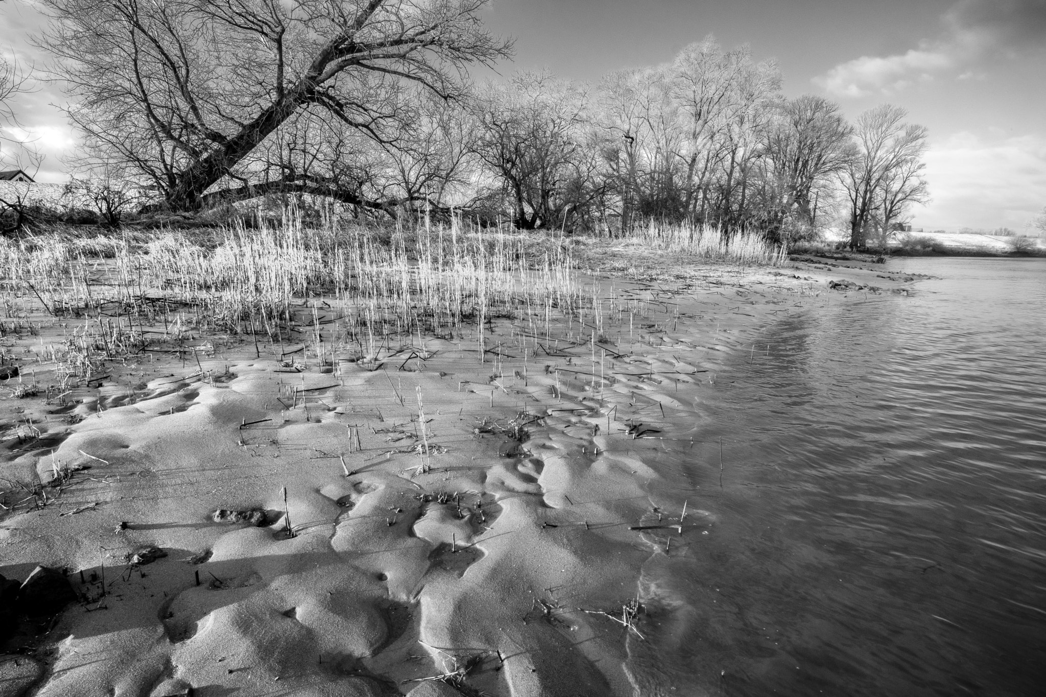 Fujifilm X-T2 + ZEISS Touit 12mm F2.8 sample photo. River elbe near hamburg photography
