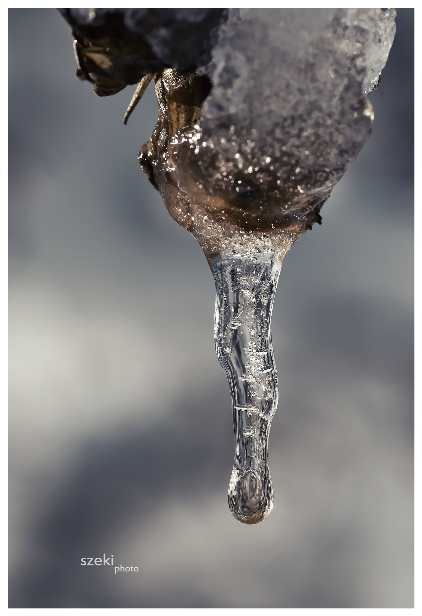 Pentax K-500 + Tamron SP AF 90mm F2.8 Di Macro sample photo. Icicle photography