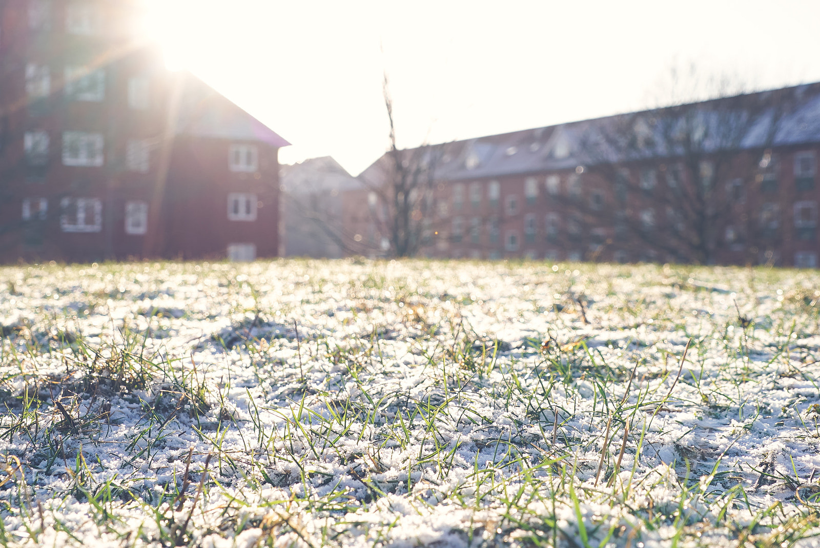 Sony a7S II + Sony FE 24-240mm F3.5-6.3 OSS sample photo. Melting snow exposing the grass covered in sun photography