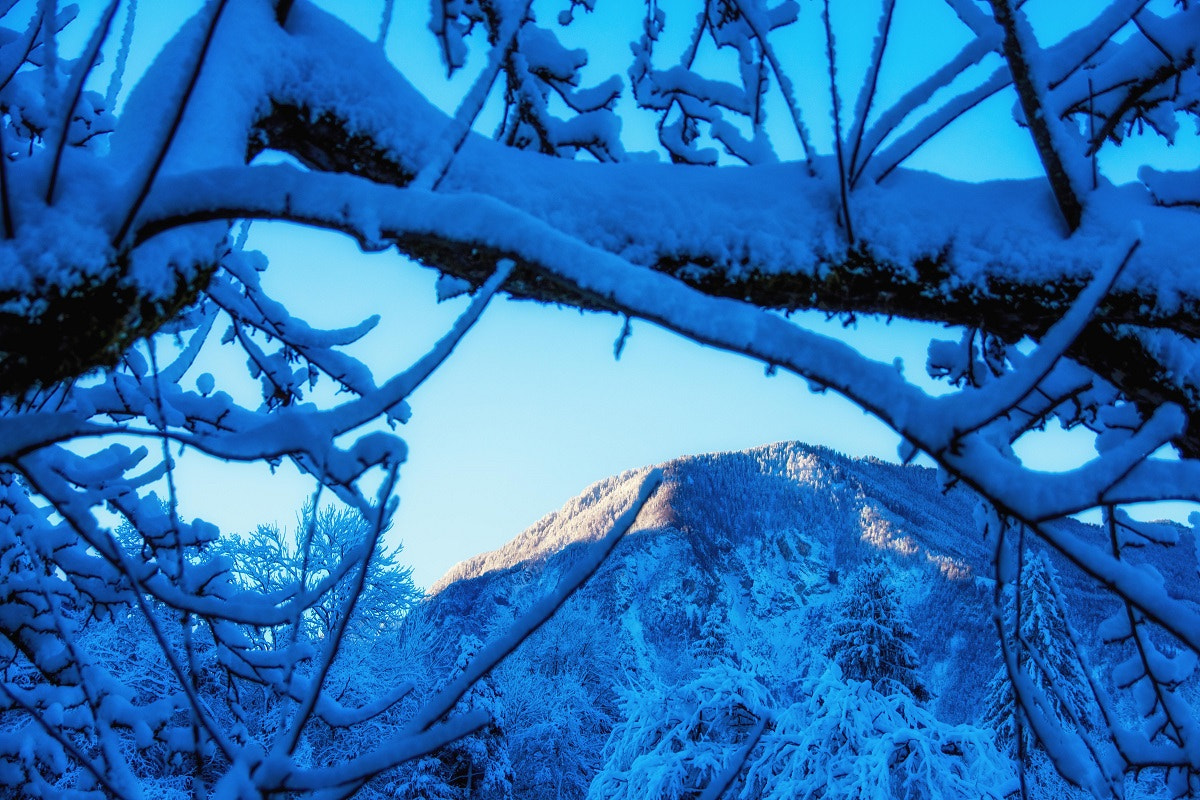 Sigma 18-250mm F3.5-6.3 DC Macro OS HSM sample photo. Winter photography