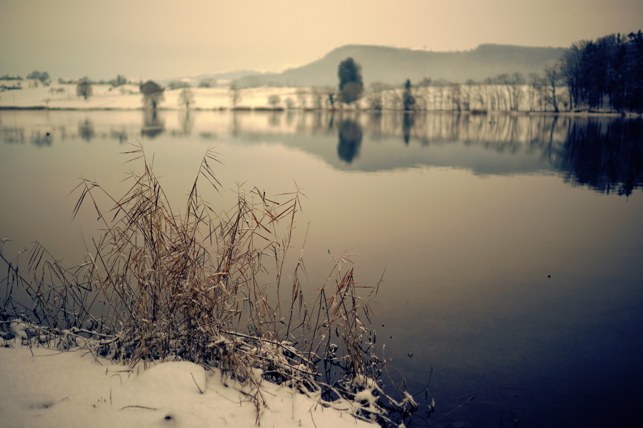 Sony 35mm F1.4 G sample photo. Lac de bret, 10-01-2017 (#2, color) photography