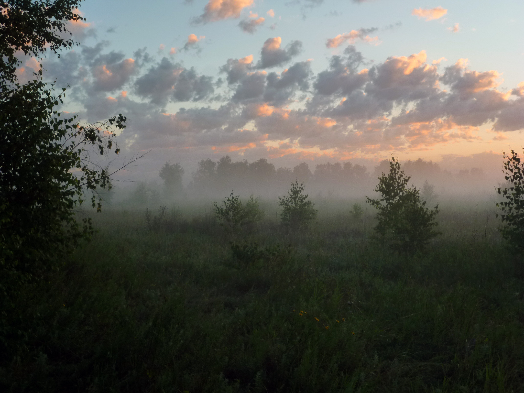 Panasonic DMC-FS14 sample photo. Morning mist photography