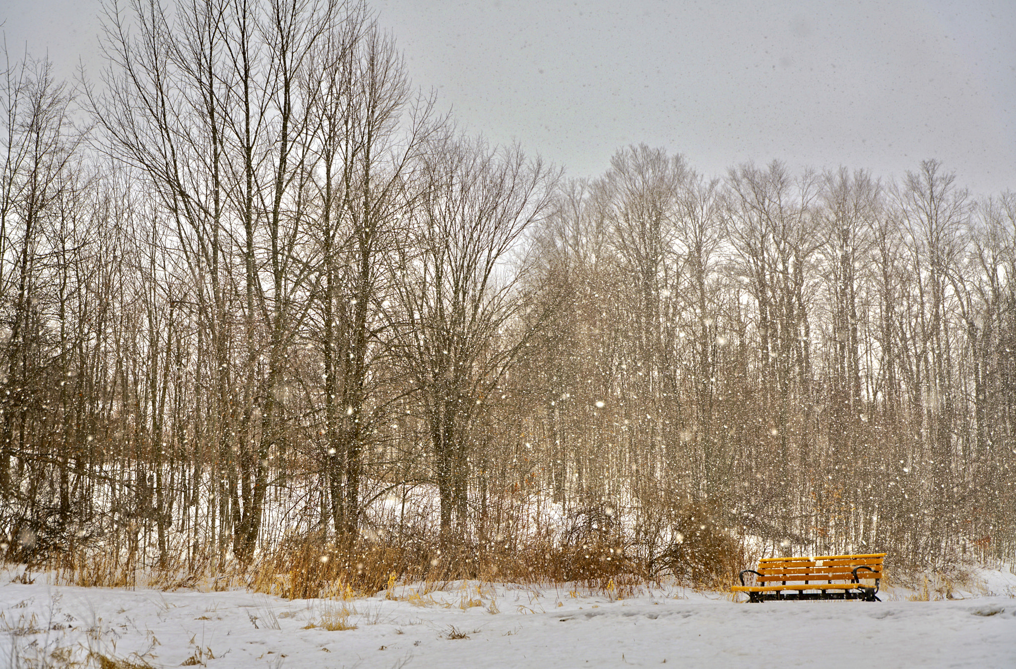 Sony FE PZ 28-135mm F4 G OSS sample photo. Fort of credit province park ontario canada photography