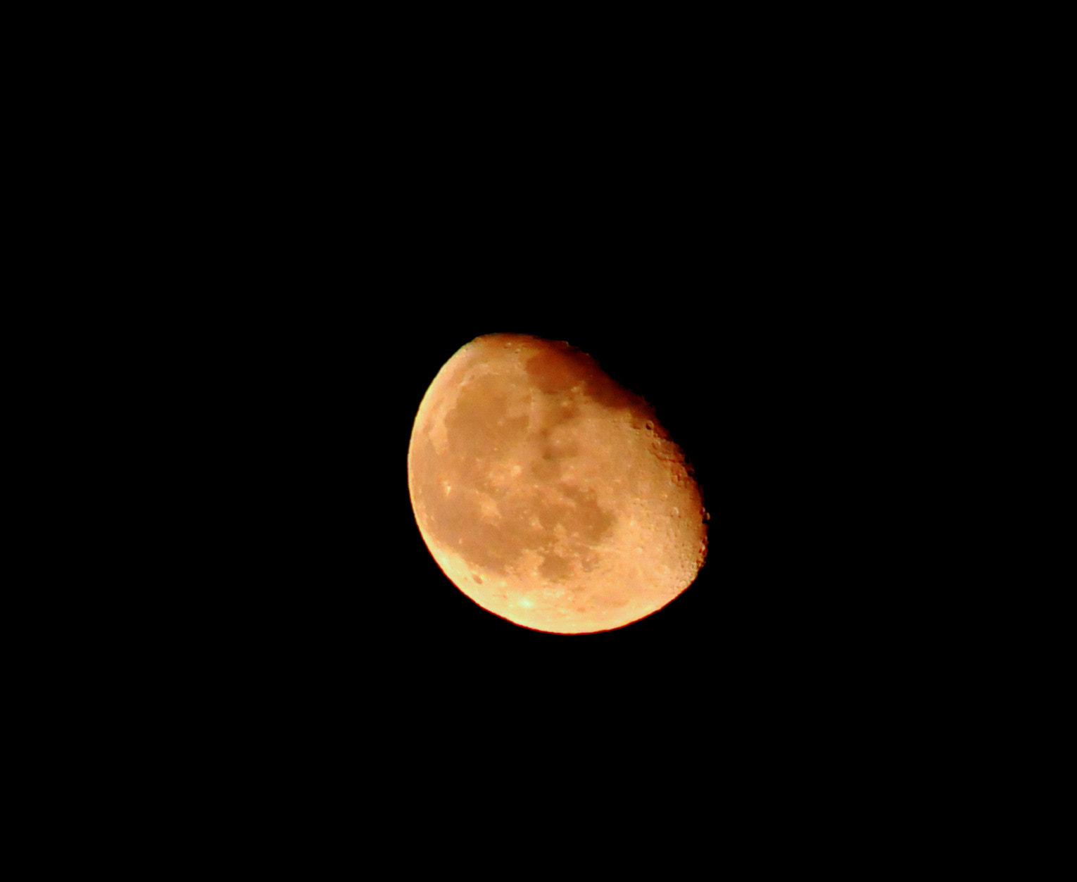 Sigma 70-300mm F4-5.6 APO DG Macro sample photo. D_4710 photography