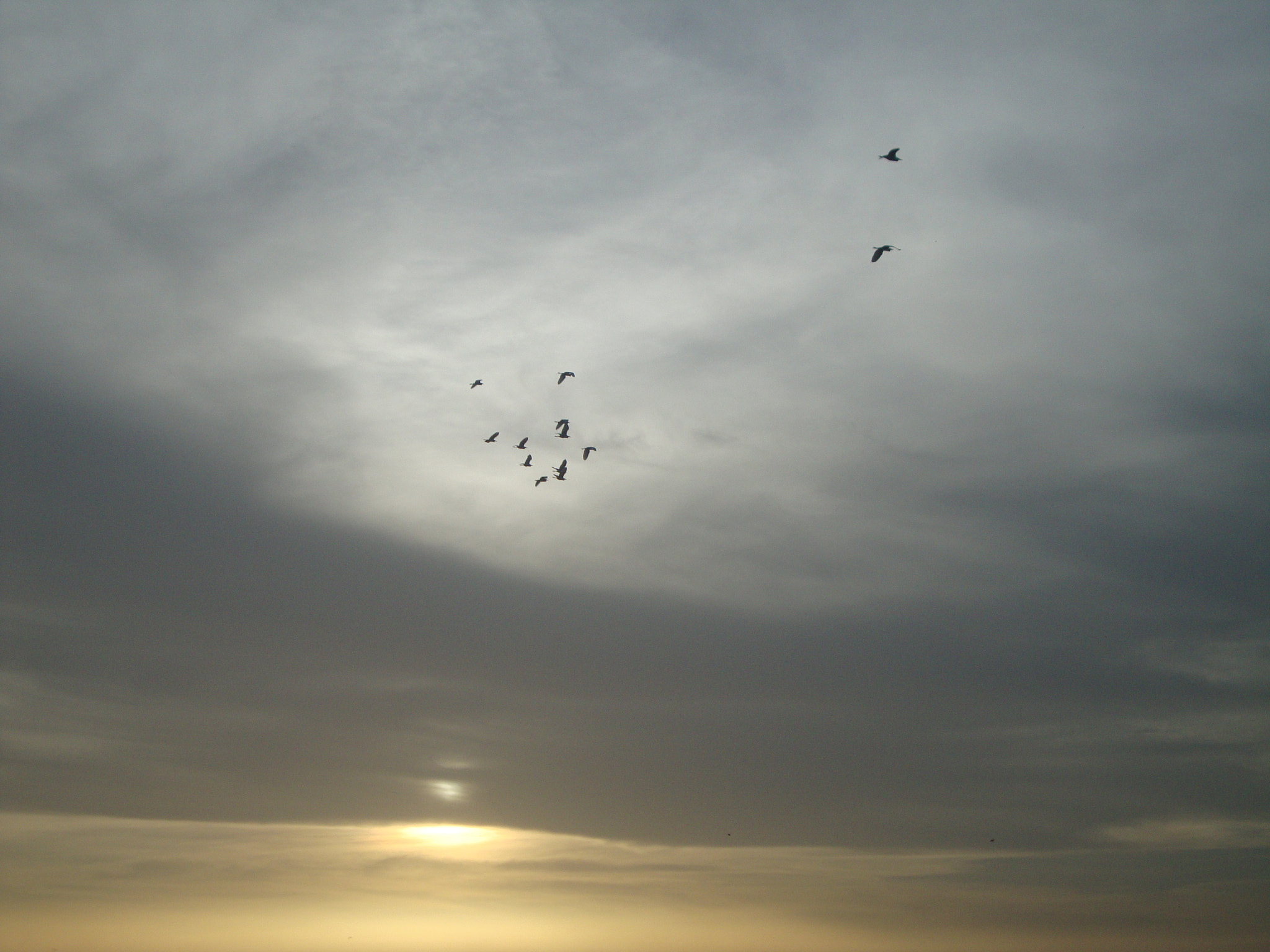 Sony DSC-W210 sample photo. Saly sunset - senegal photography