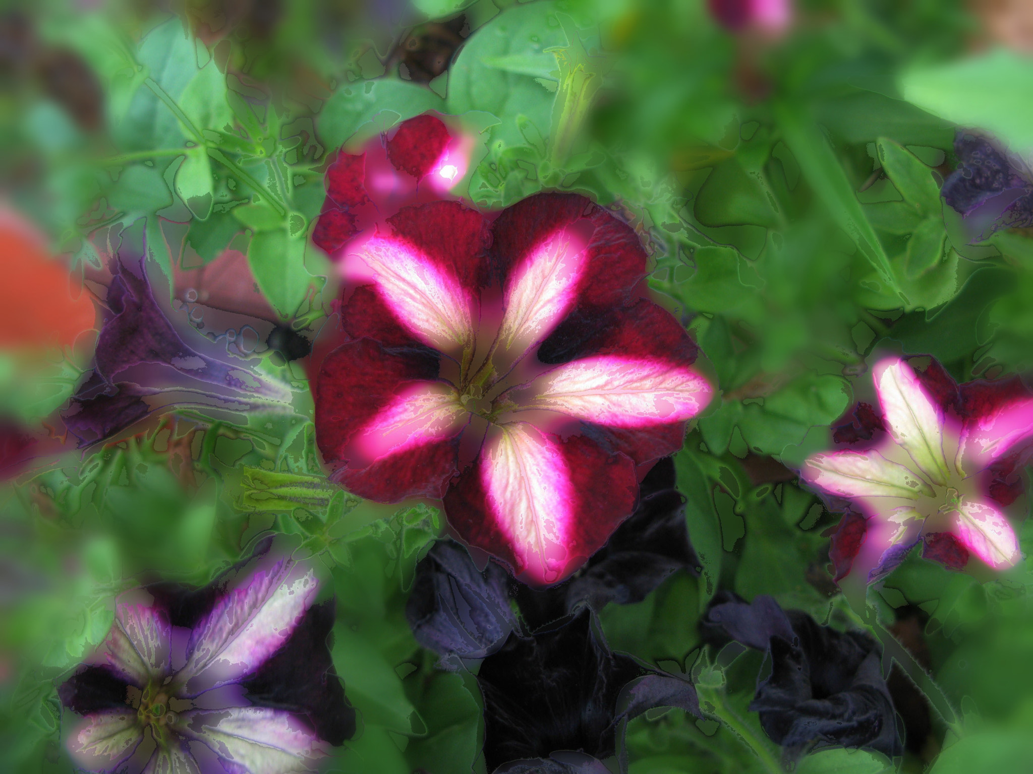 Canon POWERSHOT G7 sample photo. Summer dream photography