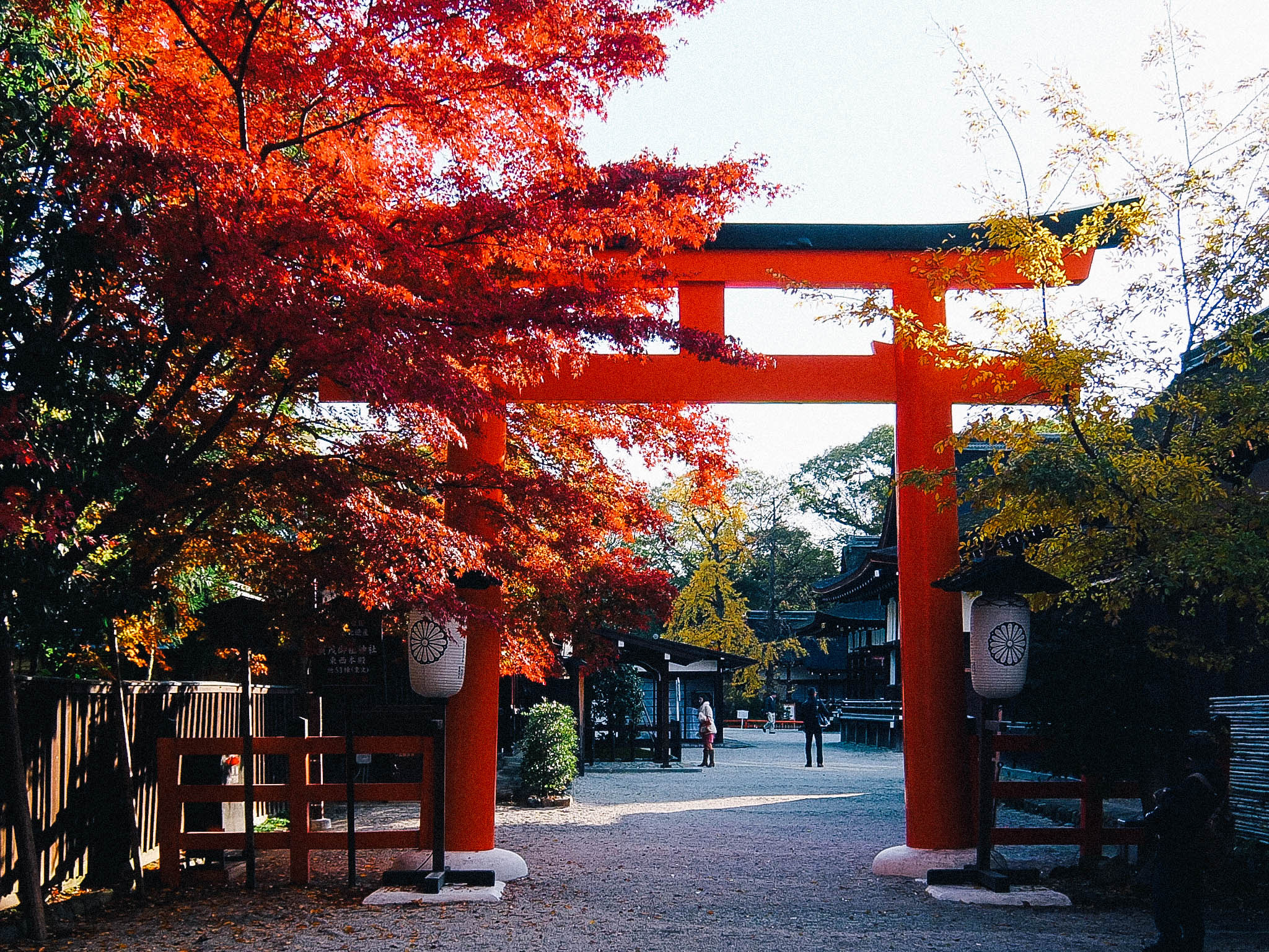 Fujifilm XF1 sample photo. Shomogamo shrine kyoto下鴨神社 京都 photography