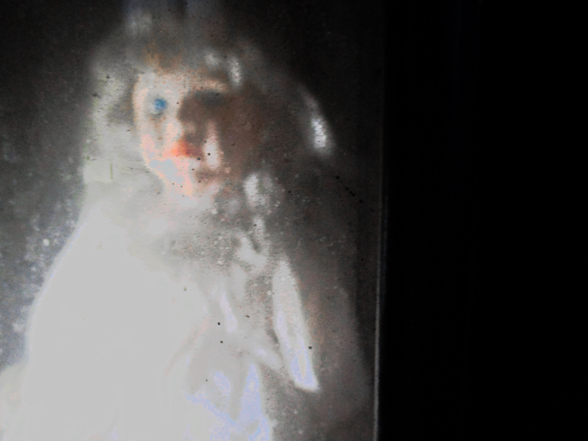 Canon PowerShot ELPH 160 (IXUS 160 / IXY 150) sample photo. Doll behind glass photography