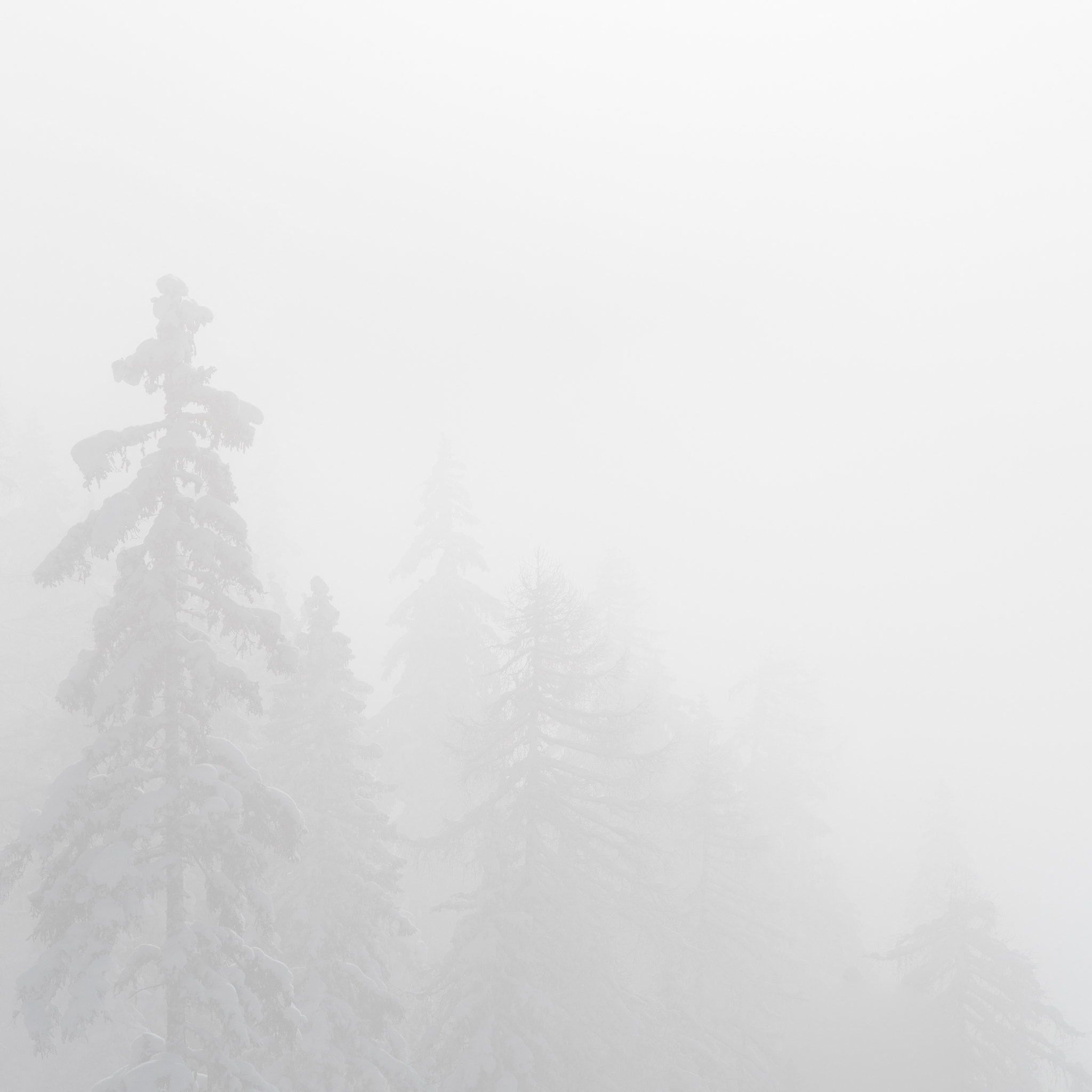Nikon D500 sample photo. Fogging view photography
