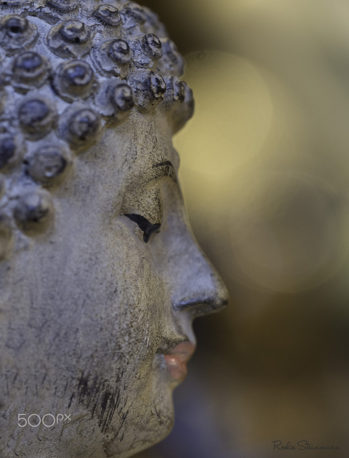 Olympus M.Zuiko Digital ED 60mm F2.8 Macro sample photo. The boedha experience photography