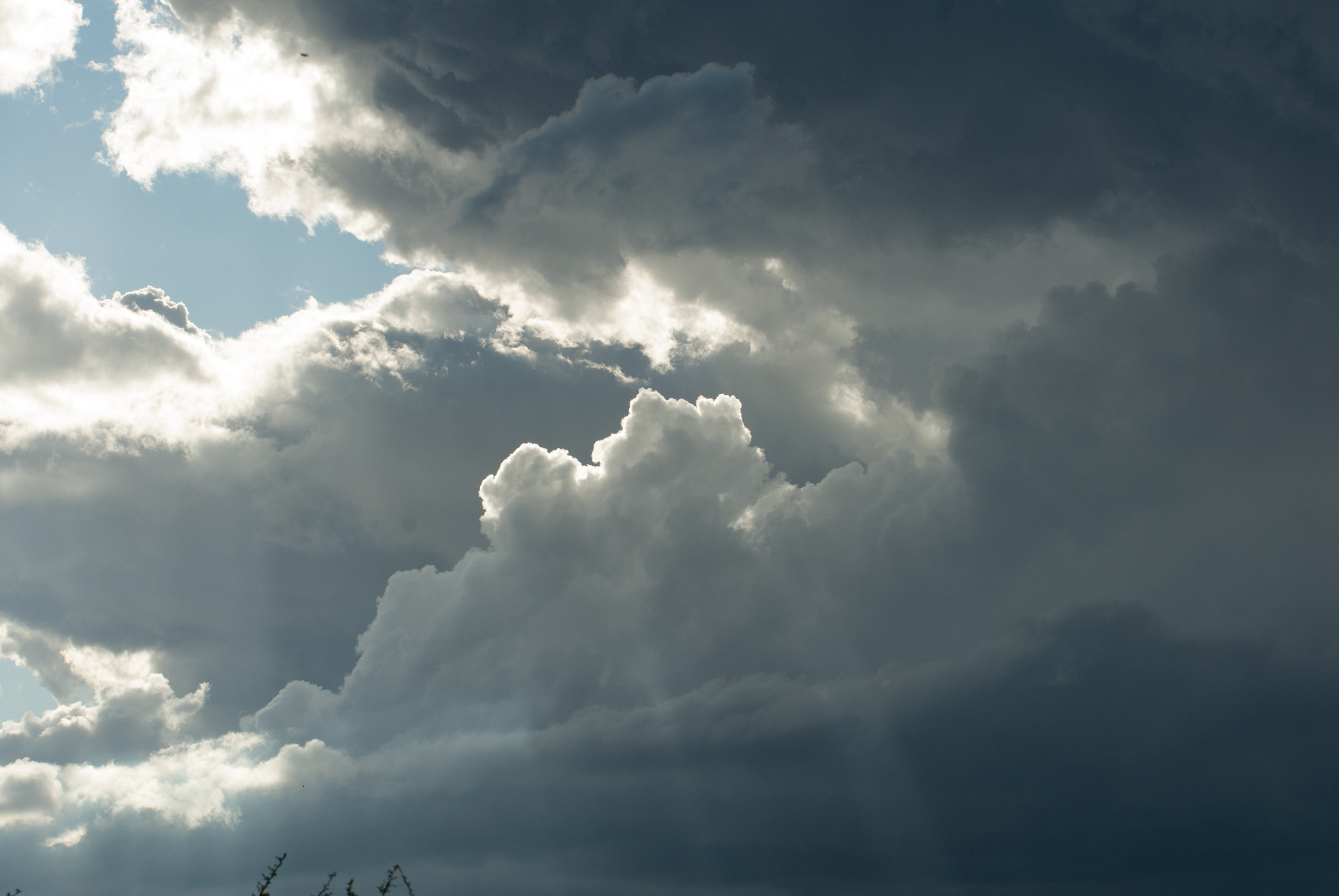 Nikon D200 sample photo. Ray photography