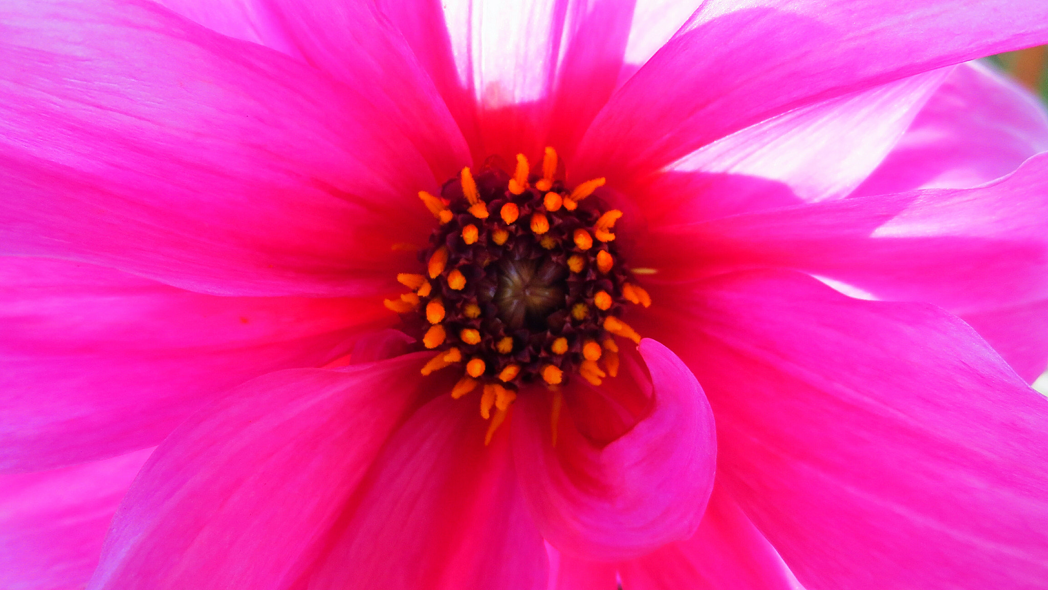Canon POWERSHOT ELPH 320 HS sample photo. Colores photography