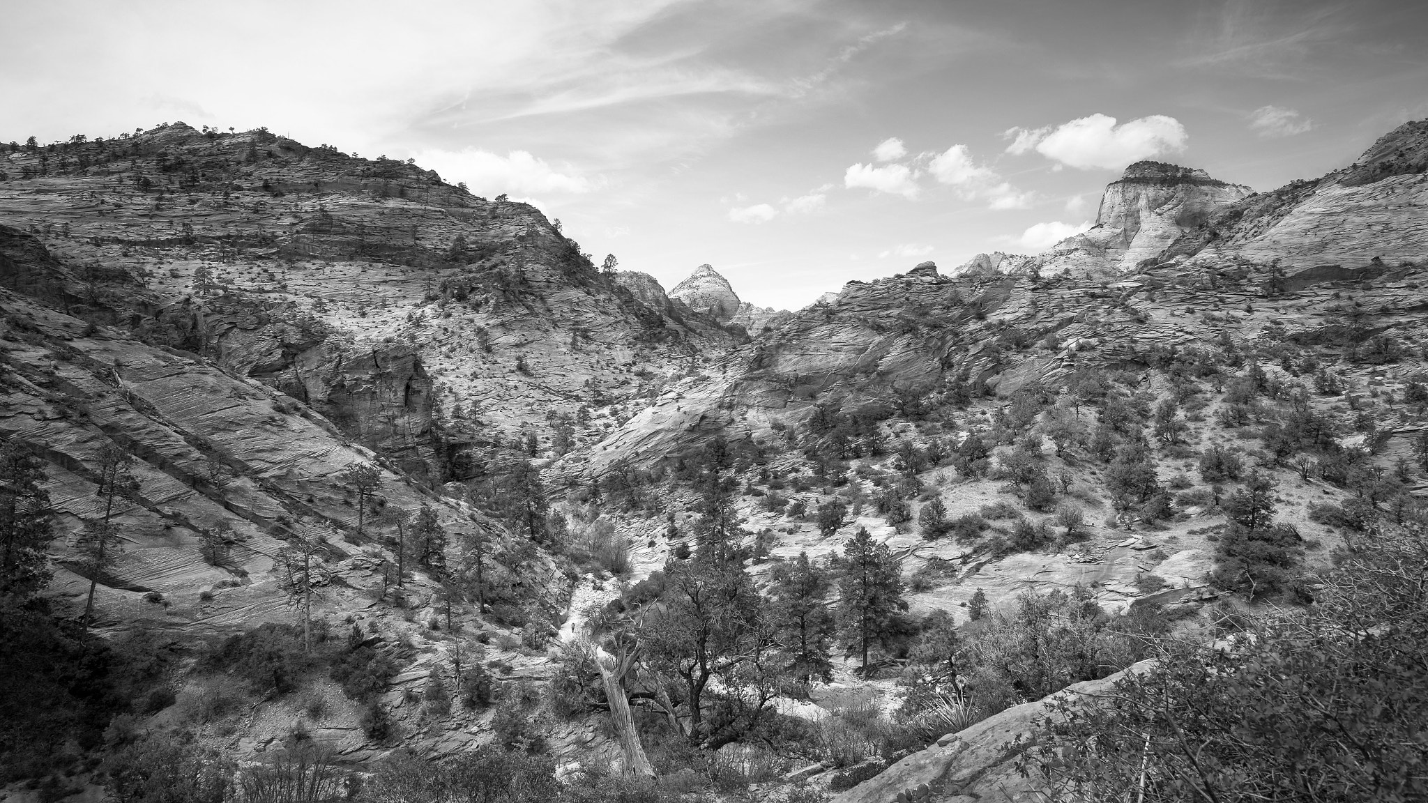 Canon EOS 6D + Canon EF 11-24mm F4L USM sample photo. Zion canyon photography