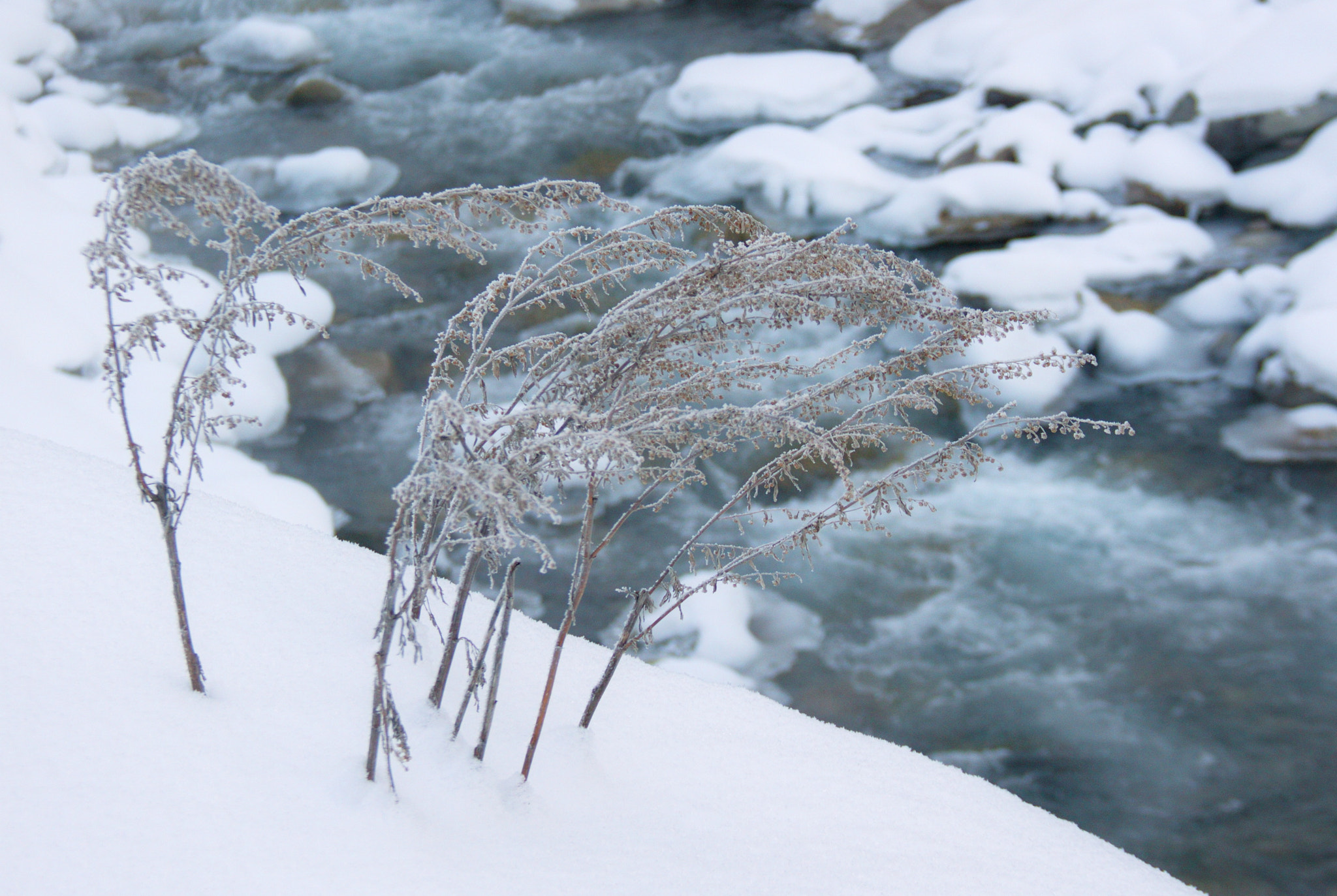 Canon EF-S 18-135mm F3.5-5.6 IS sample photo. Right talgar river. Река Правый Талгар photography