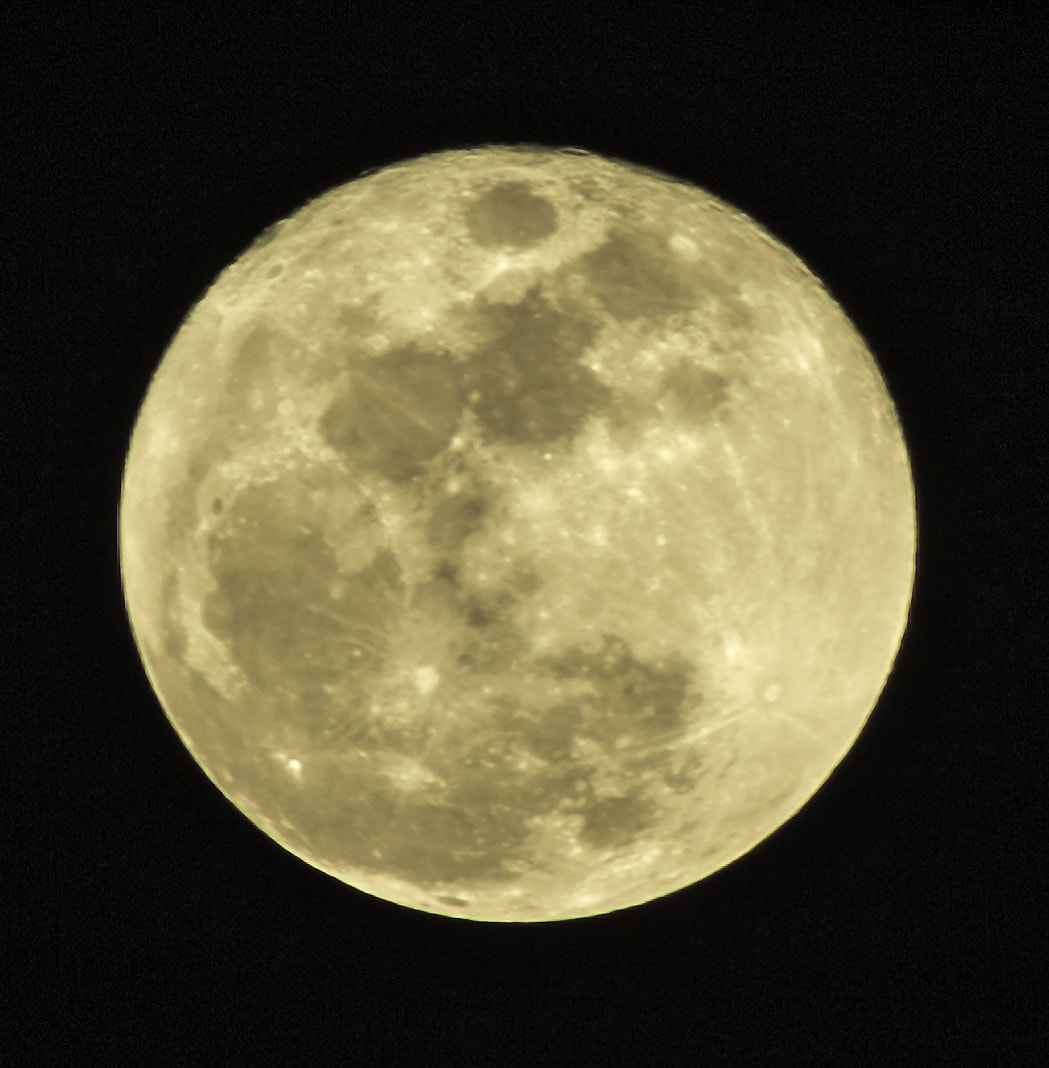 Canon EF 75-300mm f/4-5.6 USM sample photo. Wolf moon photography
