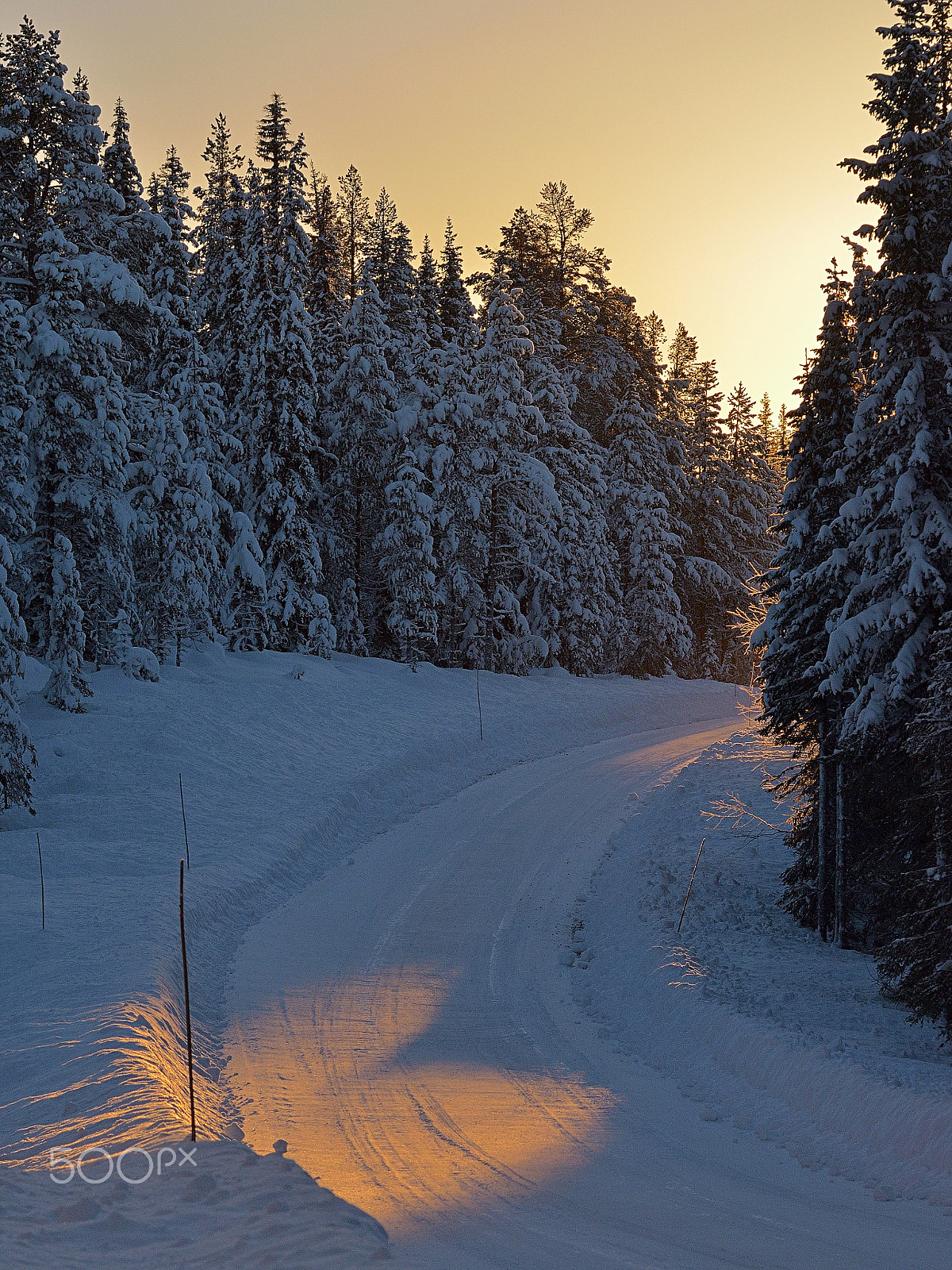 Nikon D5100 sample photo. Mid winter road photography