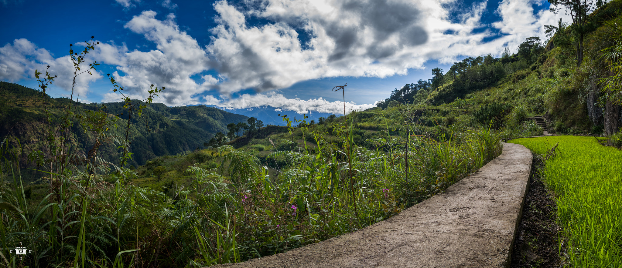 Pentax K-3 II sample photo. Rice trail photography