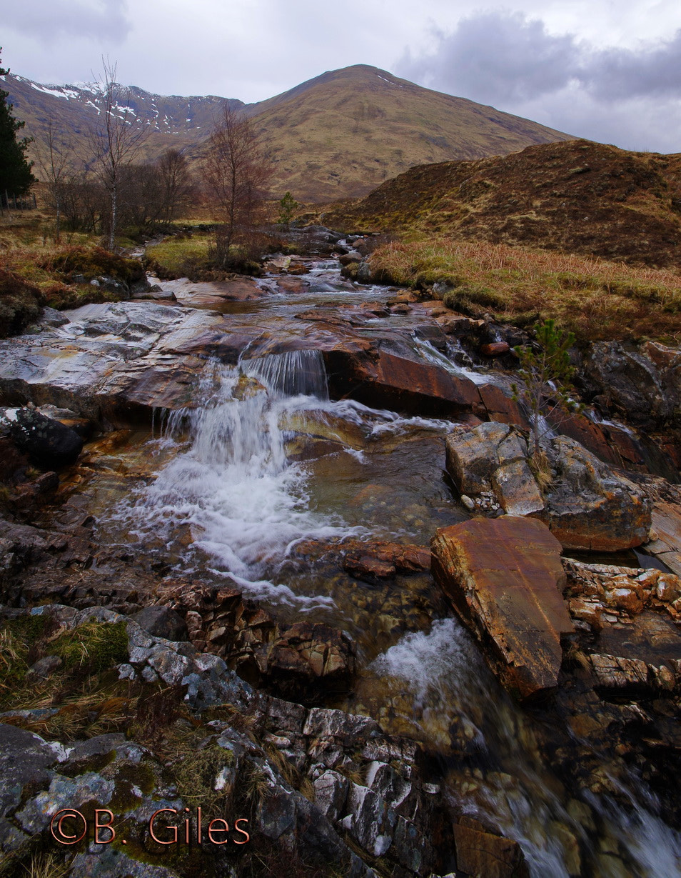 Sigma AF 10-20mm F4-5.6 EX DC sample photo. Springtime skye photography