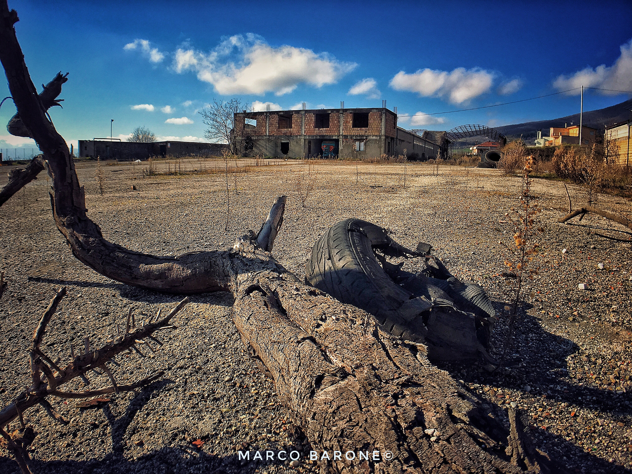 Apple iPhone 6s Plus sample photo. Desert trunk photography