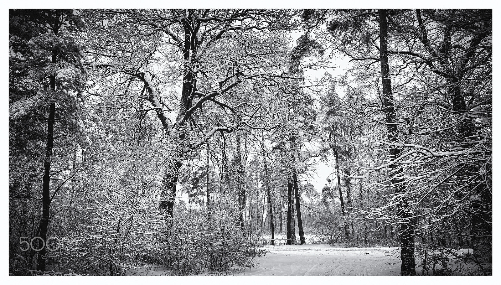 Tamron SP 15-30mm F2.8 Di VC USD sample photo. Winter photography