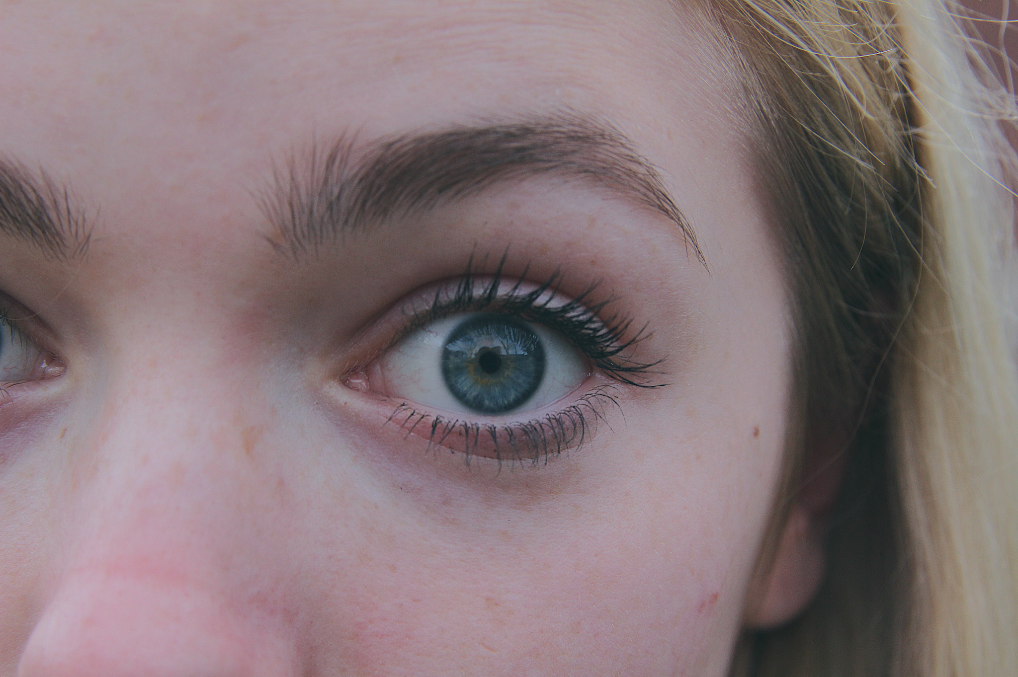 Sigma 18-200mm f/3.5-6.3 DC OS sample photo. There's more to us then what meets the eye photography