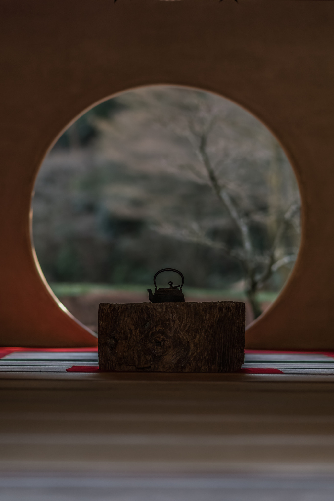Sony Sonnar T* 135mm F1.8 ZA sample photo. ー和ー photography