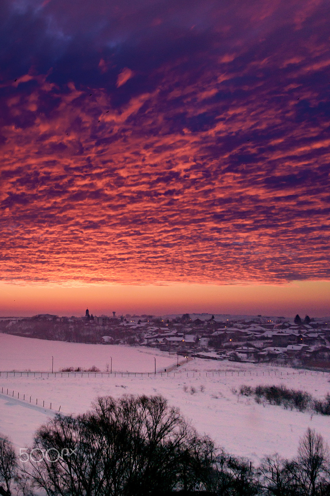 Nikon D5300 + Sigma 24-105mm F4 DG OS HSM Art sample photo. Winter sunrise whit clouds photography