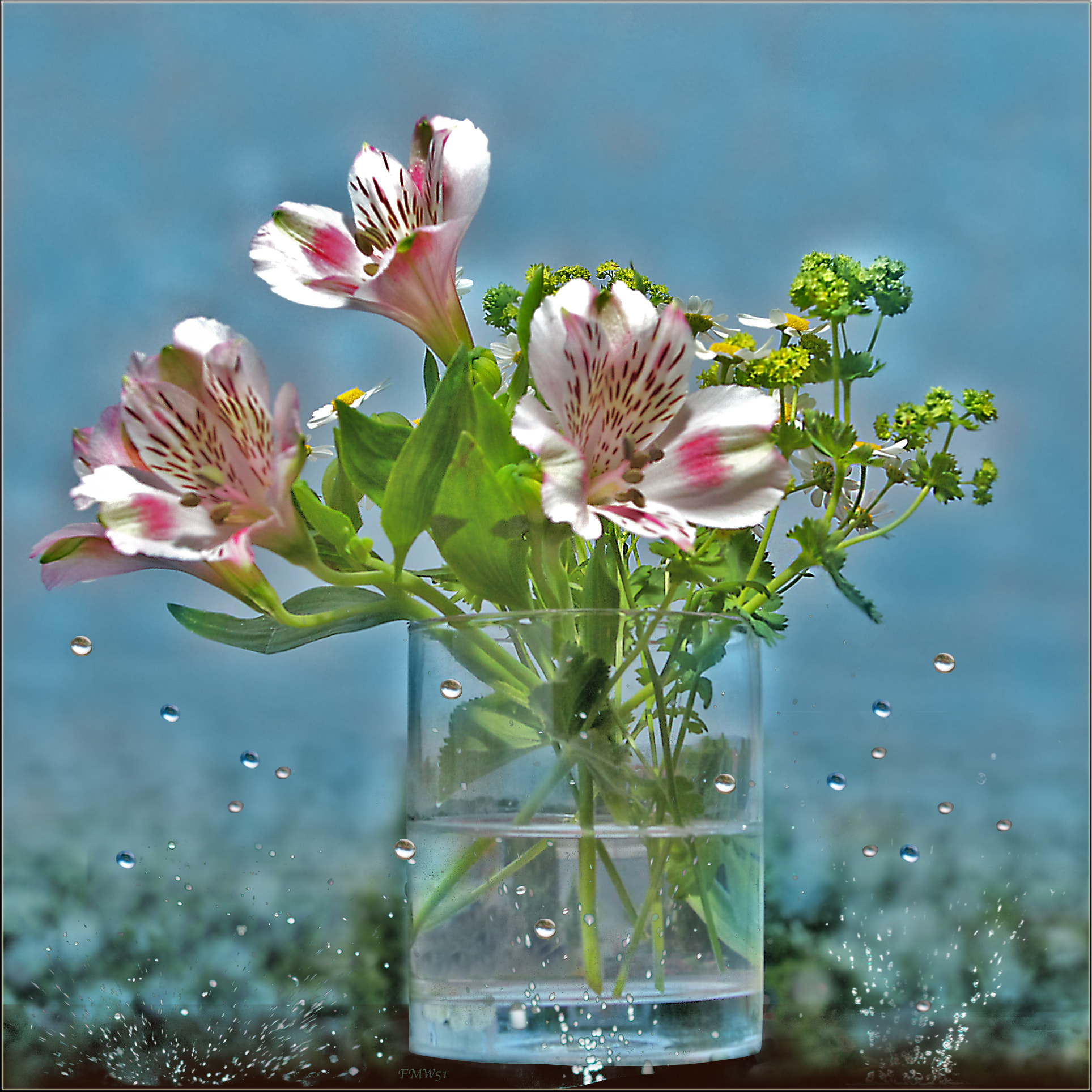 Sony SLT-A55 (SLT-A55V) sample photo. Bubbles, drops and flowers photography