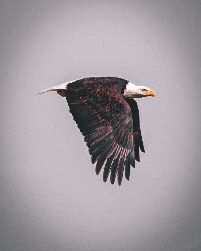 smc PENTAX-DA L 55-300mm F4-5.8 ED sample photo. Top photography