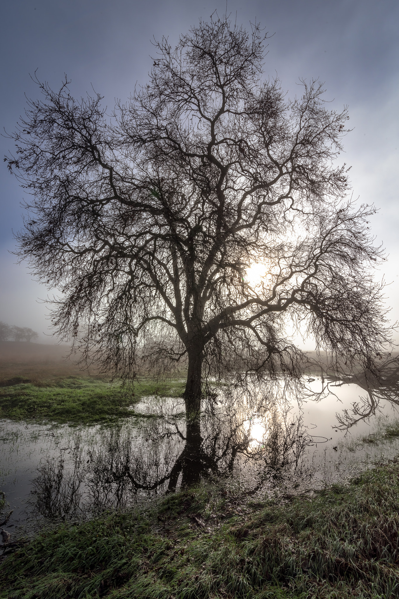 Tokina AT-X 16-28mm F2.8 Pro FX sample photo. Roseville, california  photography