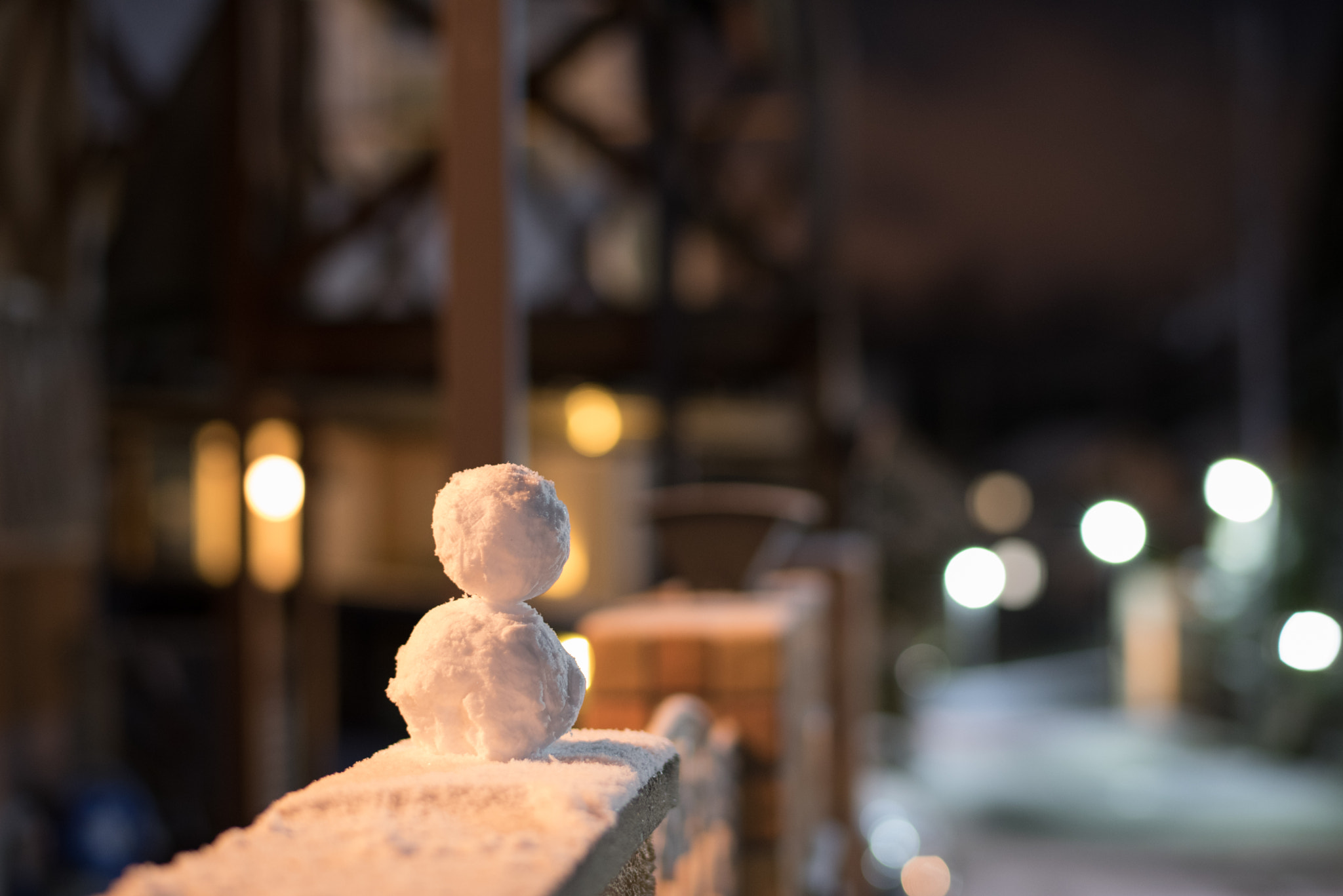 Nikon D750 + Nikon AF-S Nikkor 58mm F1.4G sample photo. Snow down photography