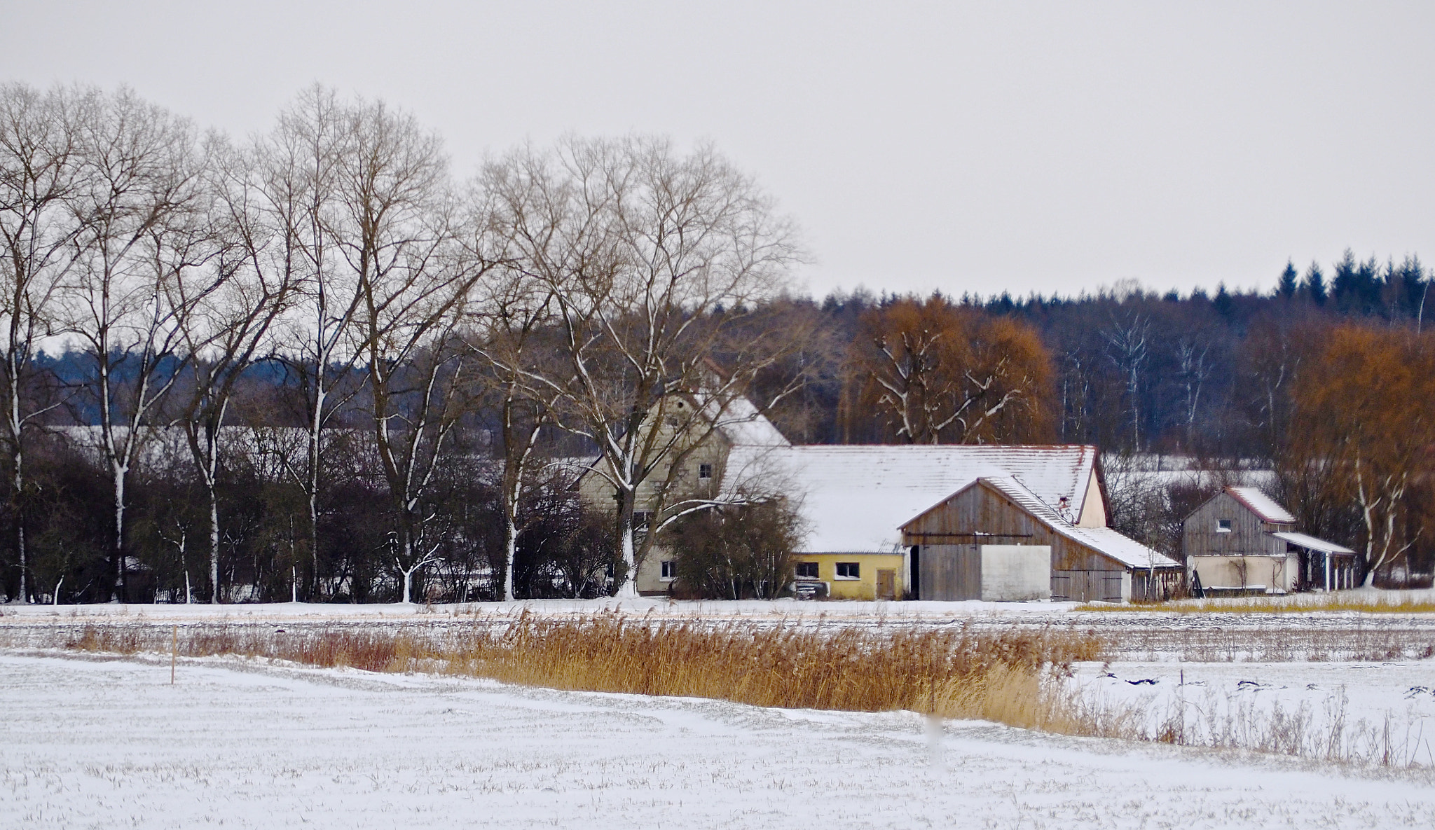 Olympus OM-D E-M5 II sample photo. Mill farm photography
