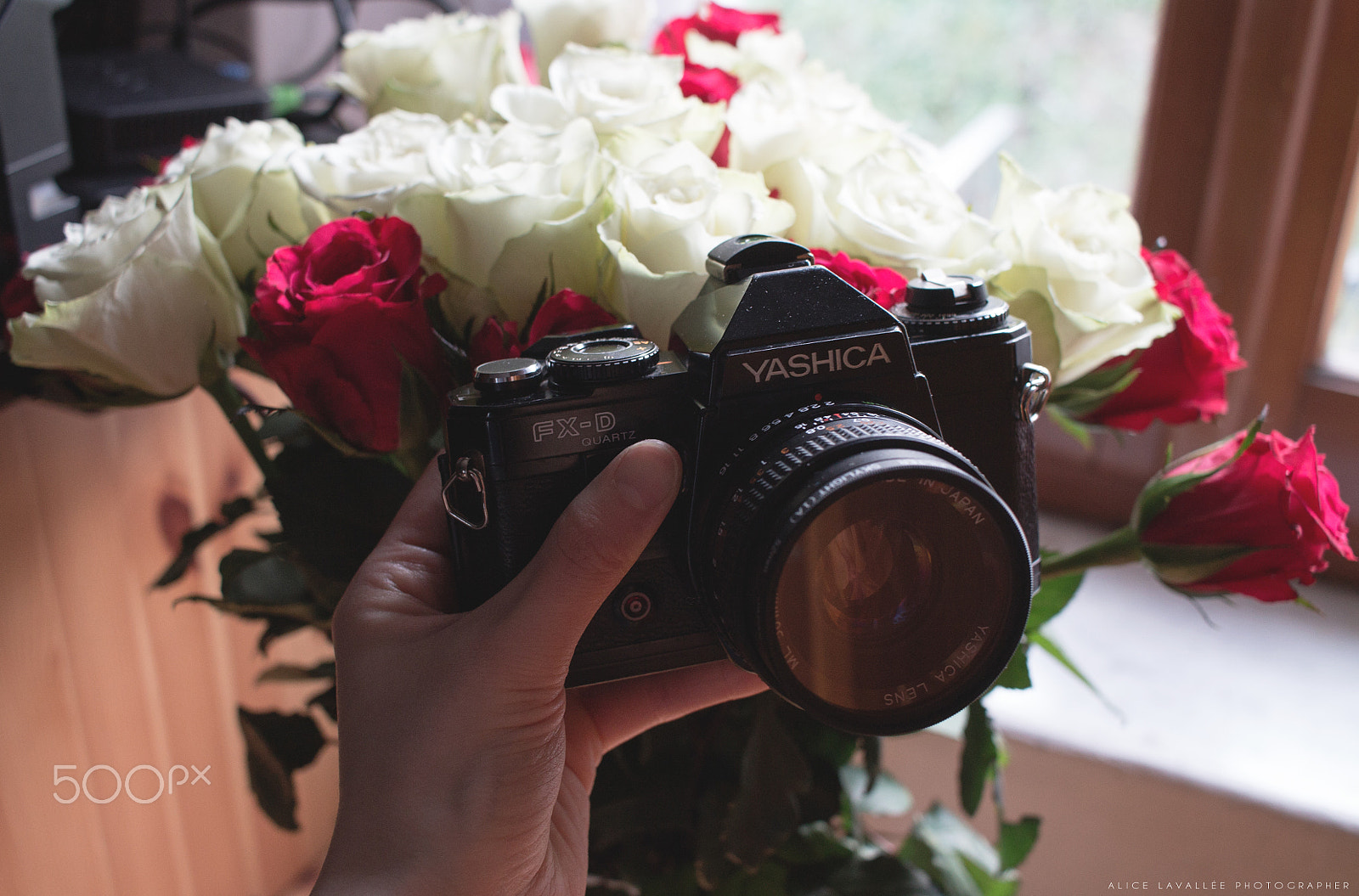 Canon EF-S 24mm F2.8 STM sample photo. Yashica photography