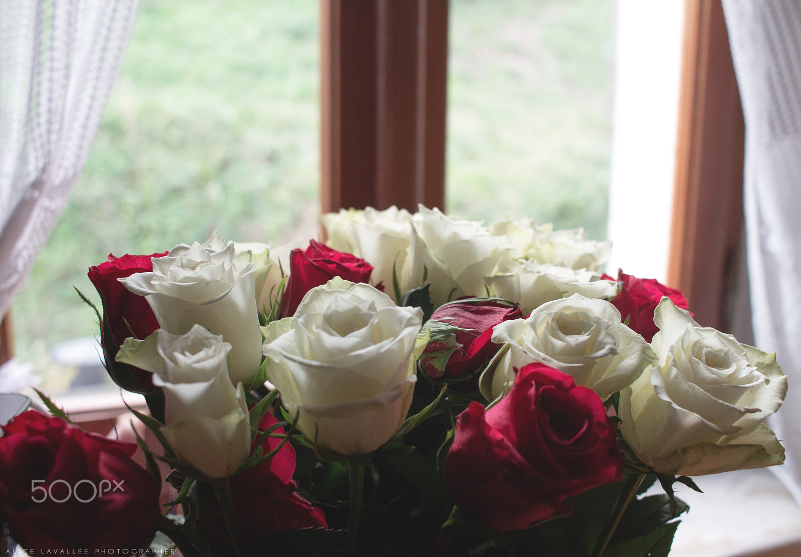 Canon EF-S 24mm F2.8 STM sample photo. Twentynine roses photography