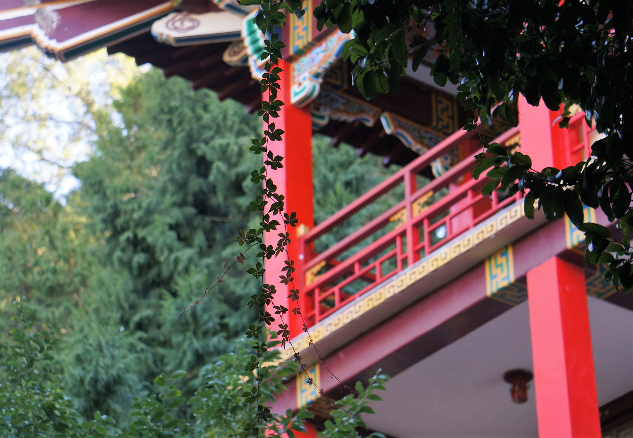 Sony FE 24-240mm F3.5-6.3 OSS sample photo. Lishan guest house 梨山賓館 photography