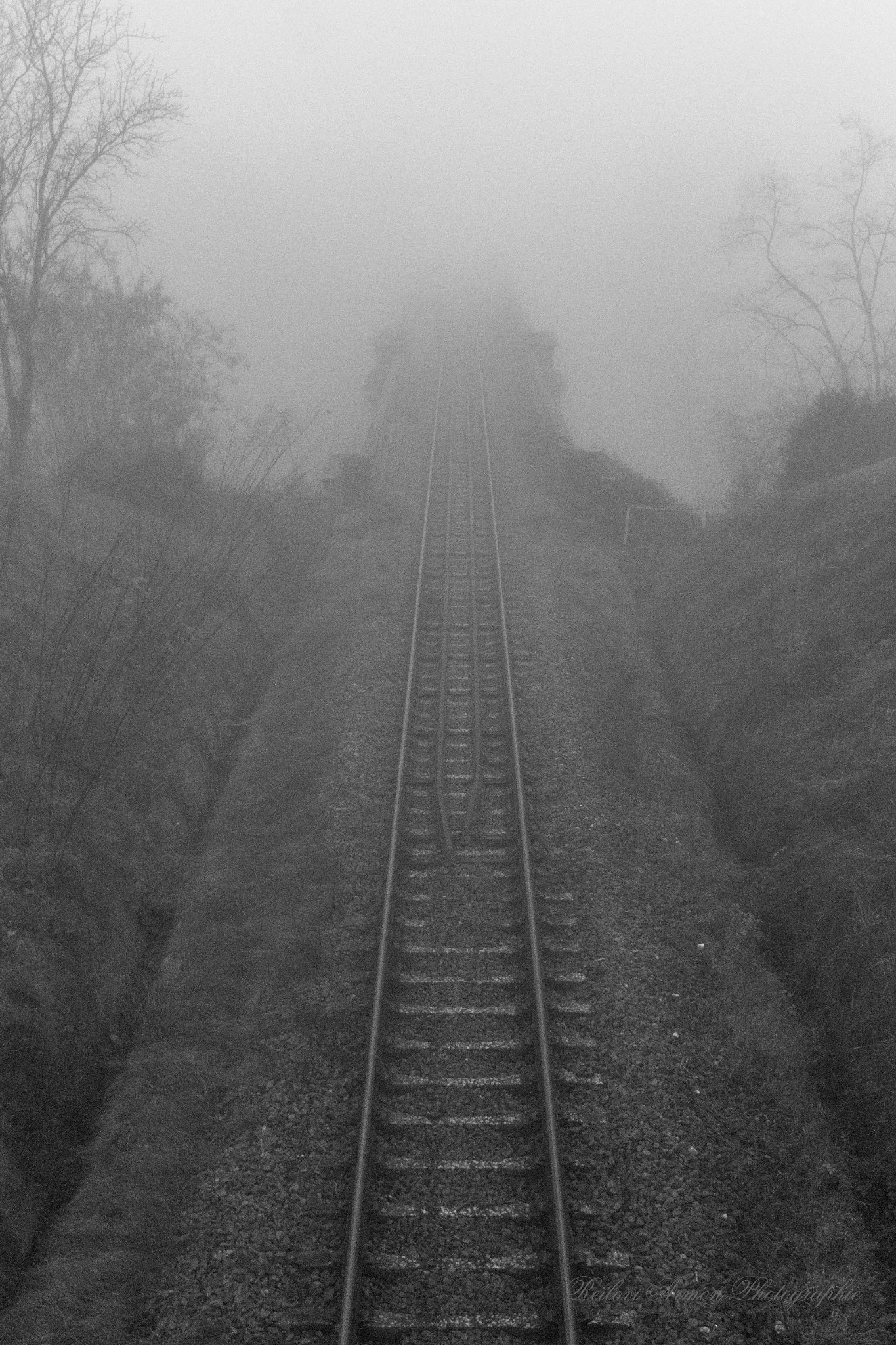 Canon EF 24-70mm F4L IS USM sample photo. Fog in tarn photography