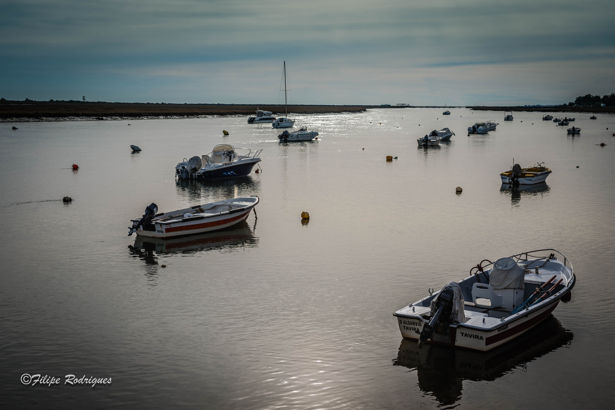 Nikon AF-S Nikkor 28-70mm F2.8 ED-IF sample photo. The algarvio is hibernating photography