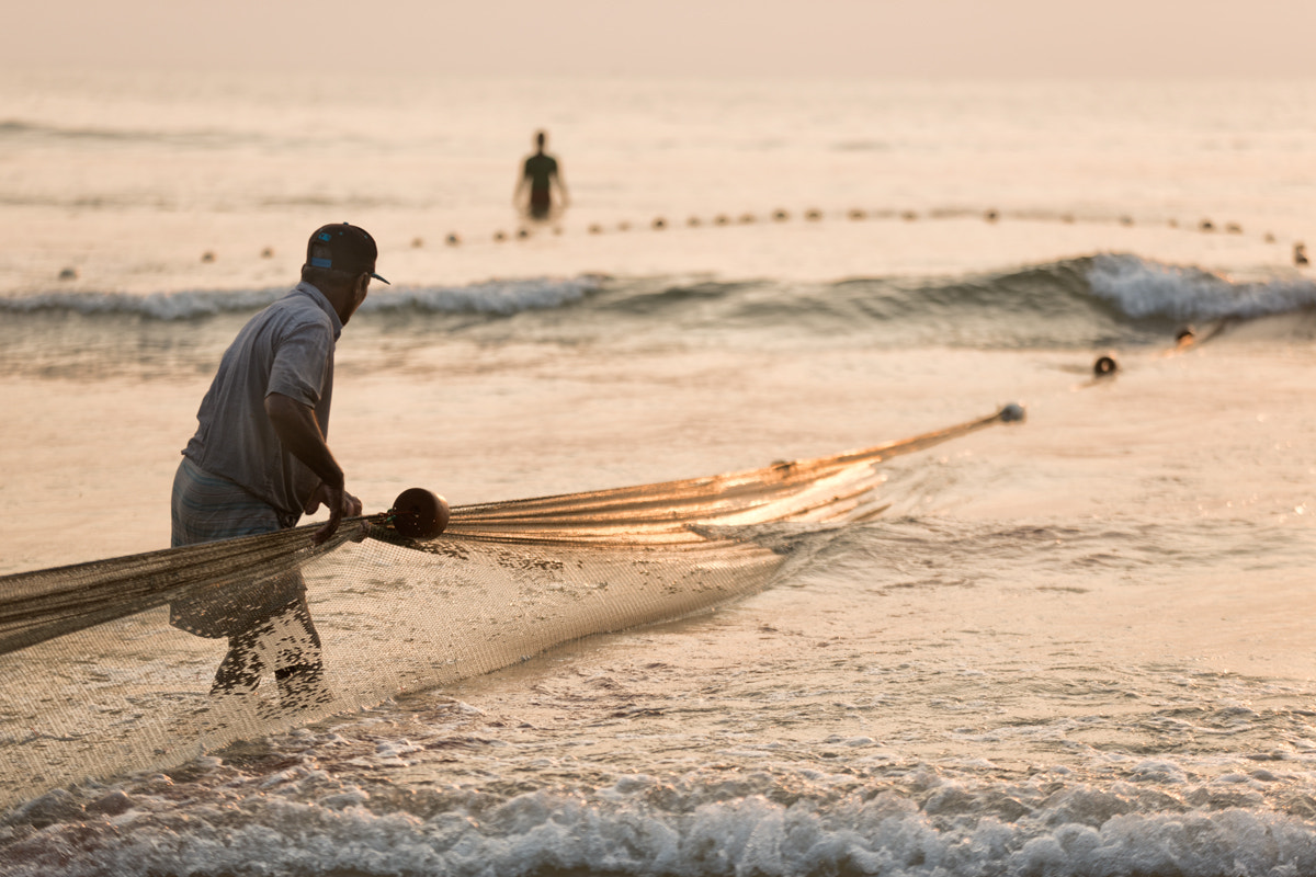 AF-S Zoom-Nikkor 80-200mm f/2.8D IF-ED sample photo. Pulling the net photography
